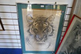 A drawing of a female tiger. Dated Nov 1972 by Ralph Thompson. Drawn at the first meeting of Marwell