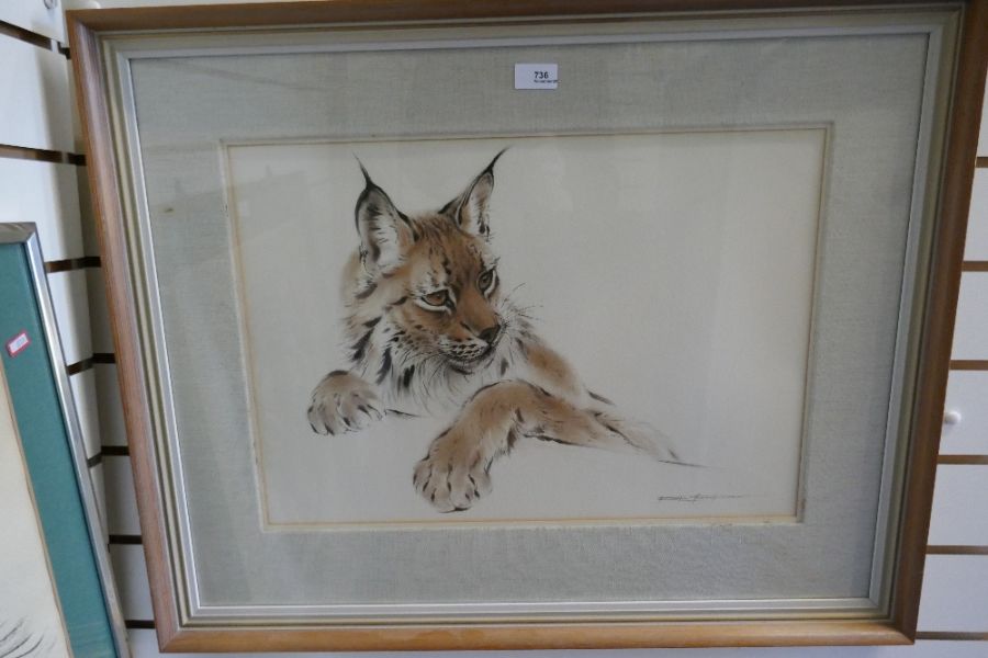 A drawing depicting a wild cat signed Ralph Thompson 1913-2009