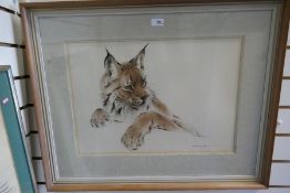 A drawing depicting a wild cat signed Ralph Thompson 1913-2009