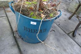 Enamelled bread bin plus an established bay tree