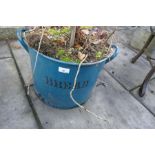 Enamelled bread bin plus an established bay tree