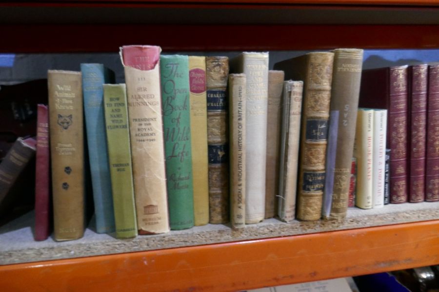 A selection and box of mostly hardback books of various subjects