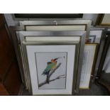 Terence Balm a quantity of watercolours and Gouaches of birds and animals