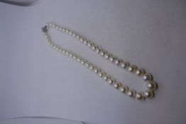 String of cultured single row pearls with 18ct white gold clasp set with 14 small diamonds, 43cm in