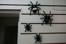 Four Spiders