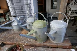 Collection of galvanised watering cans and bucket