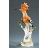 Meissen porcelain Hoopoe Bird, 19th c.