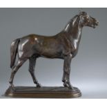 Isidore Bonheur, Stallion, Bronze, 19th c.