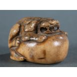 Antler netsuke of a Shishi. 18th/19th C.