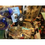 Miscellaneous items including a collection of dolls, a framed case of beetles, scorpions, etc., a