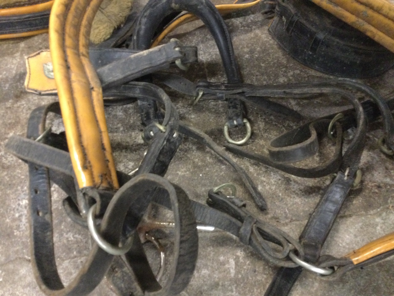 A horse collar with horseshoe mounts, a bridle, girth, bit, etc. (A lot) - Image 3 of 3