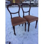 A pair of fine Victorian mahogany balloon-back dining chairs, with stuffover upholstered seats
