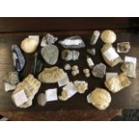 A collection of fossils, some labelled - ammonites, calcite, coral, crithoid, etc. (26)