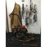 Miscellaneous equine equipment and tack - leather & webbing head collars, lead ropes, bridles,