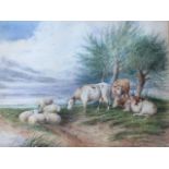 Thomas Sydney Cooper, watercolour, cows & sheep in extensive landscape, mounted & gilt framed. (11in