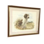 James Rowley, coloured print, titled to verso Springer Spaniel, signed in pencil and numbered,