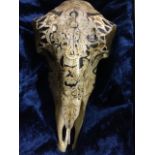 A pyrography skull with stylised foliate scrolled decoration centering on an elephant, the head