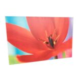 A large floral box canvas print. (46in x 30.5in)