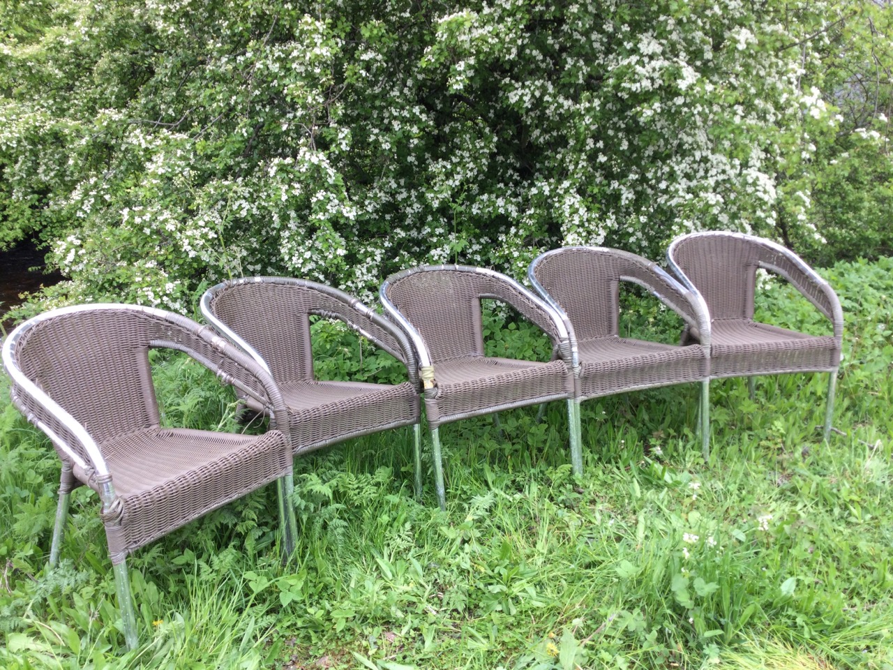 A set of five tubular chrome metal chairs with rounded frames, having faux cane backs & seats,