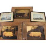 A set of three Victorian style pine framed naive prints with large prize animals; and a pair of