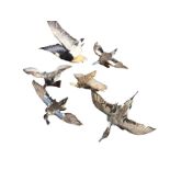 Six pieces of wildfowl taxidermy - a barnacle goose, an American widgeon, a sharp-tailed grouse, a