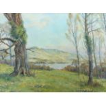 A Charlton, oil on board, Lake District landscape with daffodils to foreground, titled to label