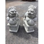 A pair of eastern style composition stone dogs of fo, the beasts with balls on rectangular