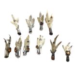A collection of Scottish grouse foot brooches with hinged pins, mounted with stags heads and claw-