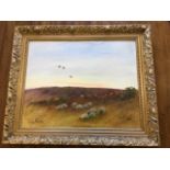 Nancie Foster, oil on board, birds over moorland with sheep, signed, the verso inscribed Evening sky