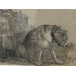 S Gibbon, pencil study of a tired dog, signed & dated 1911, mounted & oak framed. (16in x 11.75in)