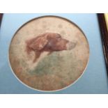 K Morley, watercolour, tondo study of a dogs head, signed, mounted & contemporary framed. (7.5in