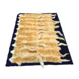 A rectangular navy felt rug mounted with twenty blonde foxfurs. (69in x 53in)