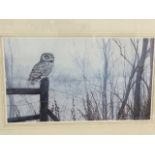 John Holmes, an artist proof of an owl on a fence, signed in pencil on margin, mounted & framed. (