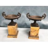 A pair of nineteenth century classical bronze urns with floral scrolled handles and lozenge cast
