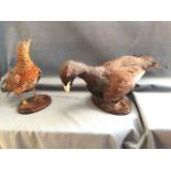 A pair of taxidermy ptarmigans, the cock & hen mounted on oval moulded plinths. (2)