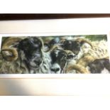 A Davidson, lithographic coloured print of rams, signed and numbered in pencil on margin,