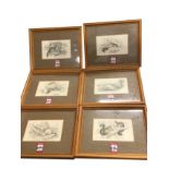 A set of six handcoloured steel engravings depicting wild animals - weasel, pine martin, shrew,