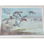 Archibald Thorburn, coloured print with ducks descending to shoreline, signed in pencil on margin