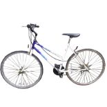 A Raleigh Pioneer Classic bicycle with Leechi brakes, Shimano gears, long padded adjustable seat,