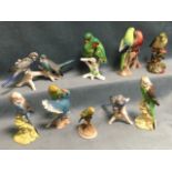 A collection of porcelain budgerigars - Beswick, pairs, Goebel, Spode, European, etc. (9)
