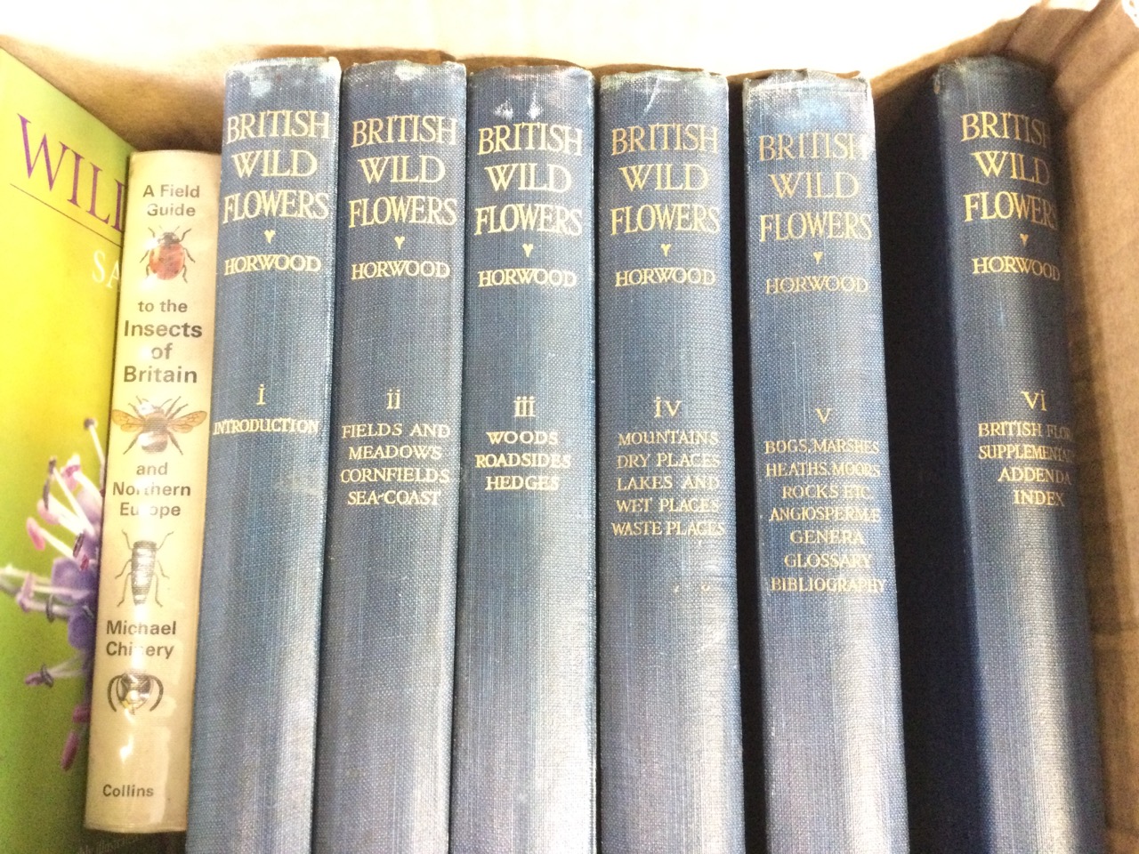 A collection of books on nature, flowers, countryside, etc., including Butterflies of the Australian - Image 2 of 3