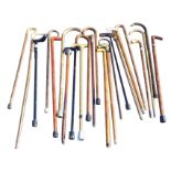 Twenty-three walking sticks - carved, malacca, telescopic, hazel, horn handled, lead knopped,