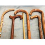 Five miscellaneous walking sticks - alpine, blackthorn, modern, etc.; and a wood gun cleaning rod