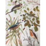 A Victorian handpainted glass panel titled The Seasons, with birds & foliage, signed indistinctly,