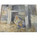 Tim Scott Bolton, pencil & watercolour, study of a hen in chicken coop, signed, mounted & framed,