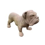 A heavy cast iron boxer type dog. (26in)
