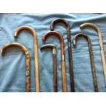 Seven mainly hallmarked silver mounted walking sticks - engraved, malacca, ribbed, blackthorn,