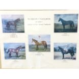 Scotlands Champions at Aintree, a print of five famous horses, mounted & framed. (30.25in x 24.