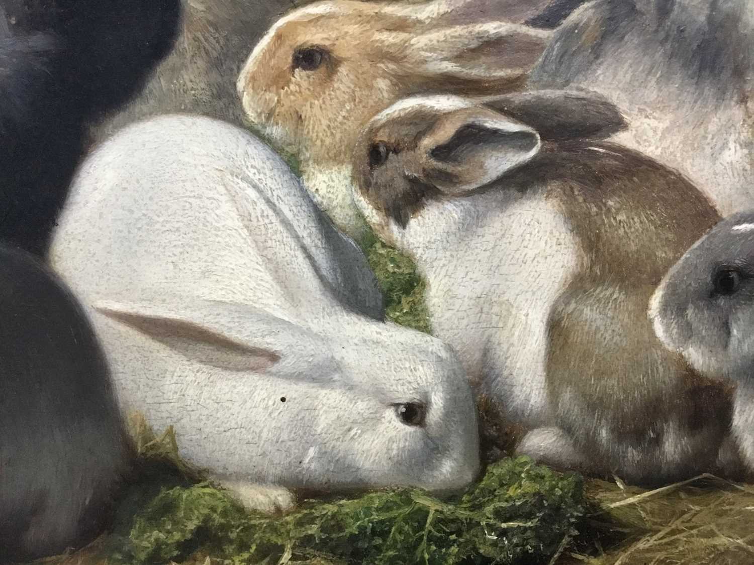 Eugene Remy Maes (1849-1931) oil on panel - Rabbits Feeding, signed adn inscribed verso, in gilt fra - Image 7 of 11