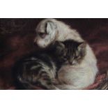 John Fitz Marshall (1859-1932) oil on canvas - a terrier and kitten, signed, further signed and insc